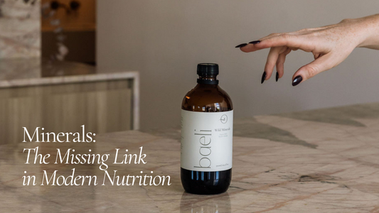 Minerals: The Missing Link in Modern Nutrition
