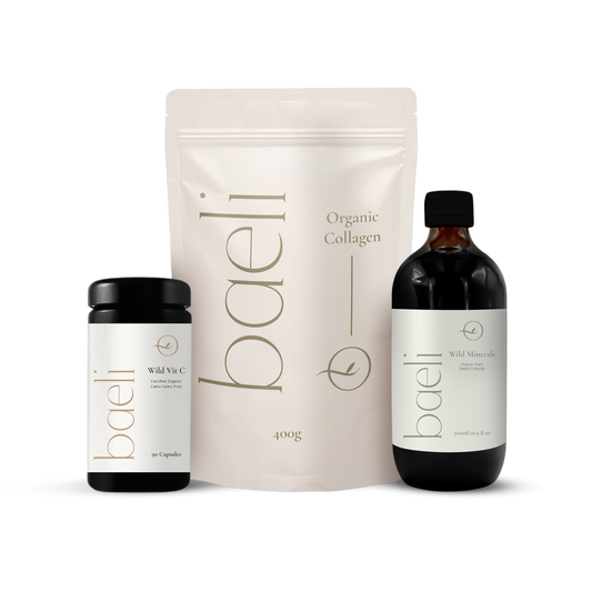 The Foundations Bundle